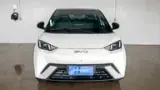 BYD Dolphin Mini - Miniatura 1