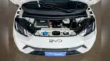 BYD Dolphin Mini - Miniatura 7