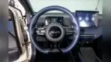 BYD Dolphin Mini - Miniatura 13