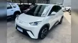 BYD Dolphin Mini - Miniatura 1