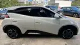 BYD Dolphin Mini - Miniatura 4
