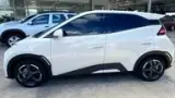 BYD Dolphin Mini - Miniatura 6