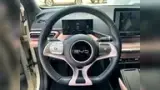BYD Dolphin Mini - Miniatura 11