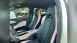 BYD Dolphin Mini - Miniatura 15
