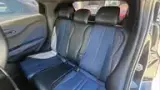 BYD Dolphin Mini - Miniatura 12