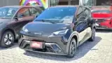 BYD Dolphin Mini - Miniatura 14
