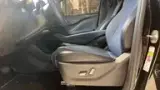 BYD Dolphin Mini - Miniatura 14