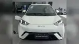 BYD Dolphin Mini - Miniatura 3