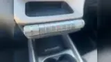 BYD Dolphin - Miniatura 15