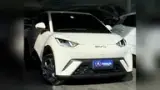 BYD Dolphin Mini - Miniatura 1