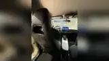 BYD Dolphin Mini - Miniatura 7