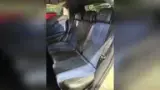 BYD Dolphin Mini - Miniatura 8