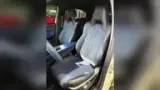 BYD Dolphin Mini - Miniatura 11