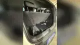 BYD Dolphin Mini - Miniatura 14