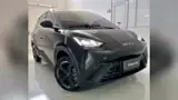 BYD Dolphin Mini - Miniatura 1