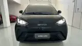 BYD Dolphin Mini - Miniatura 3