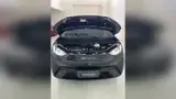BYD Dolphin Mini - Miniatura 8