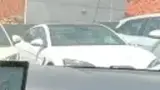 BYD Dolphin Mini - Miniatura 10