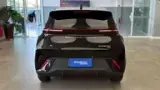 BYD Dolphin Mini - Miniatura 8