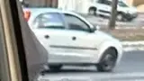 BYD Dolphin - Miniatura 8