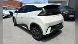 BYD Dolphin Mini - Miniatura 6