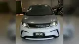 BYD Dolphin Plus - Miniatura 2