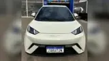 BYD Dolphin Mini - Miniatura 1