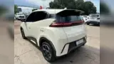BYD Dolphin Mini - Miniatura 2