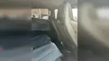 BYD Dolphin Mini - Miniatura 5