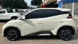 BYD Dolphin Mini - Miniatura 12
