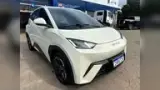 BYD Dolphin Mini - Miniatura 13