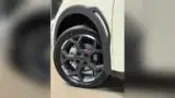 BYD Dolphin Mini - Miniatura 4