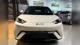 BYD Dolphin Mini - Miniatura 7