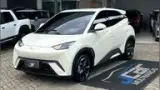 BYD Dolphin Mini - Miniatura 1