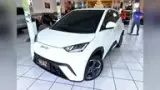 BYD Dolphin Mini - Miniatura 1