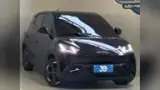 BYD Dolphin Mini - Miniatura 2
