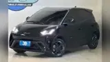 BYD Dolphin Mini - Miniatura 5