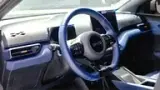 BYD Dolphin Mini - Miniatura 3