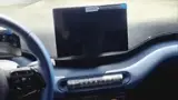 BYD Dolphin Mini - Miniatura 11