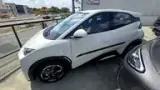 BYD Dolphin Mini - Miniatura 8
