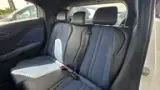 BYD Dolphin Mini - Miniatura 11