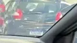 BYD Dolphin Mini - Miniatura 15