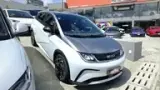 BYD Dolphin Plus - Miniatura 6