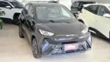 BYD Dolphin Mini - Miniatura 1