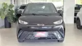 BYD Dolphin Mini - Miniatura 14