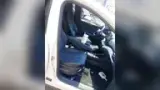 BYD Dolphin Mini - Miniatura 7