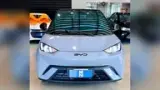 BYD Dolphin Mini - Miniatura 2