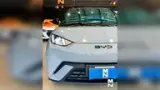 BYD Dolphin Mini - Miniatura 11