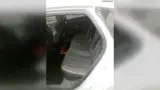 BYD Seal - Miniatura 5
