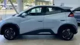 BYD Dolphin Mini - Miniatura 15